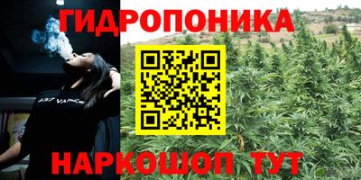 МДПВ Тулун