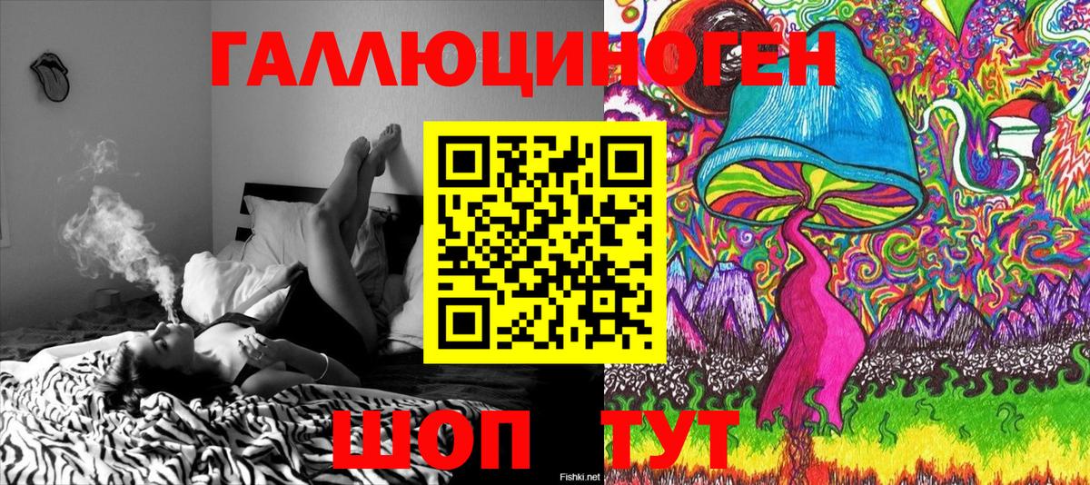 Новошахтинск  Галлюциногенные грибы Psilocybe  Вход с VPN 